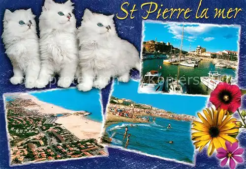 AK / Ansichtskarte Saint_Pierre_la_Mer Plage Port des chats des fleurs vue aeriennes Saint_Pierre_la_Mer