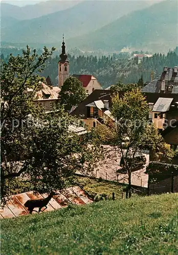 AK / Ansichtskarte Tarvisio  Tarvisio