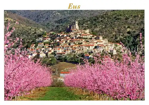 AK / Ansichtskarte Eus Obstplantage Baumbluete Eus