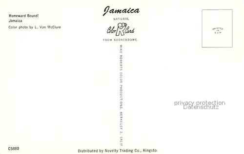 Jamaica_Jamaica Homeward bound Jamaica Jamaica