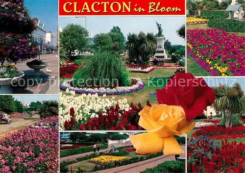 Clacton on Sea in bloom Park Flowers Clacton on Sea