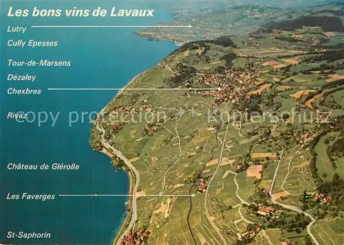 AK / Ansichtskarte Vivey Fliegeraufnahme Les Coteaux de Lavaux entre Lausanne et Vevey Vivey