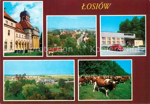 AK / Ansichtskarte Losiow Lossen Losiow