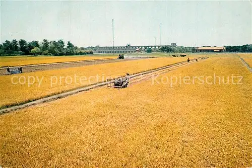 AK / Ansichtskarte Ernte_Landwirtschaft China  