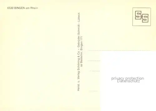 AK / Ansichtskarte Bingen_Rhein Panorama Bingen Rhein