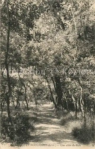 AK / Ansichtskarte Le_Pouliguen Une allee du bois Le_Pouliguen