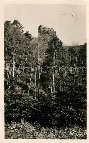 Nideck Ruines du chateau Nideck