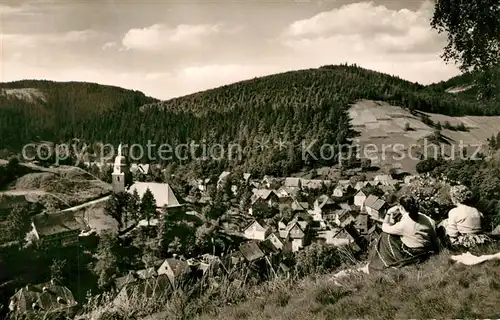 Wildemann Panorama Wildemann