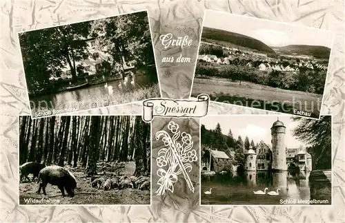 AK / Ansichtskarte Eschau_Unterfranken Schloss Sommerau Wildschweine Schloss Mespelbrunnen Eschau Unterfranken