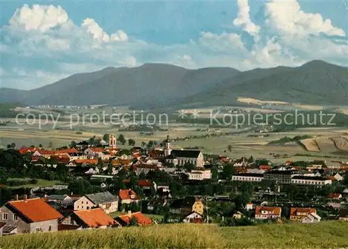 AK / Ansichtskarte Furth_Wald Panorama mit Hohenbogen Furth_Wald
