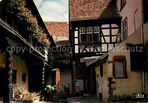 AK / Ansichtskarte Riquewihr_Haut_Rhin Cour des Cigognes Riquewihr_Haut_Rhin