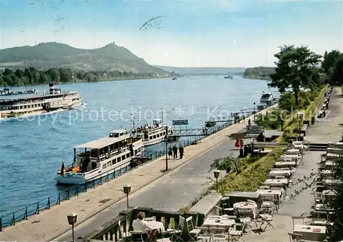 Bonn_Rhein Rheinpromenade mit Siebengebirge Ausflugsschiffe Bonn_Rhein