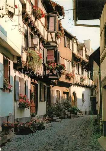 Eguisheim_Haut_Rhin Ruelle aux maisons pittoresques du XVIe siecle Altstadt Gasse Eguisheim_Haut_Rhin