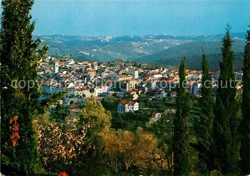 Vence la Jolie Vue generale Vence la Jolie
