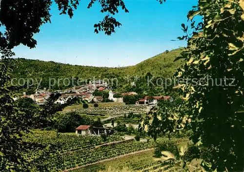 La_Motte_Var Vue generale La_Motte_Var