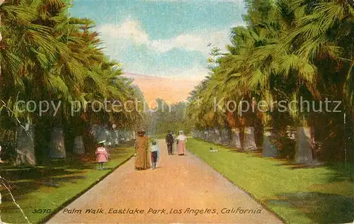 Los_Angeles_California Palm Walk Eastlake Park 