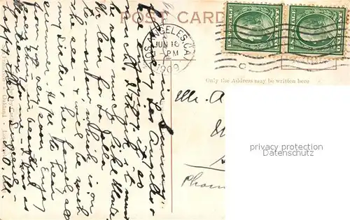 Los_Angeles_California Palm Walk Eastlake Park 