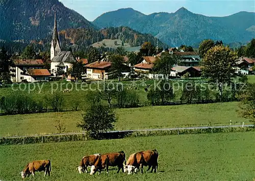 AK / Ansichtskarte Bayrischzell Blick ueber die Viehweiden zum Ort Bayrischzell