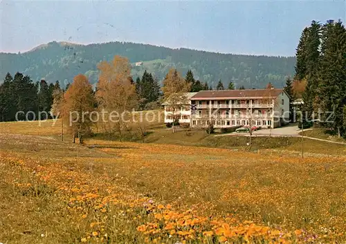 AK / Ansichtskarte Scheffau_Scheidegg Bergheim Blumenwiesen Allgaeuer Alpen Scheffau Scheidegg