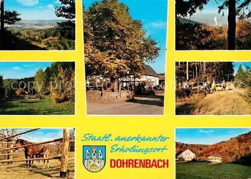 AK / Ansichtskarte Dohrenbach Landschaftspanorama Waldidylle Dorfmotiv Pferde Dohrenbach