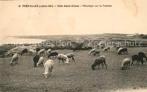 AK / Ansichtskarte Prefailles Cote Saint Gildas Paturage sur la falaise Prefailles