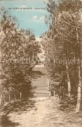 AK / Ansichtskarte Saint_Jean_de_Monts Sous bois Saint_Jean_de_Monts