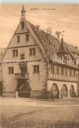 AK / Ansichtskarte Obernai_Bas_Rhin Halle aux bl Obernai_Bas_Rhin