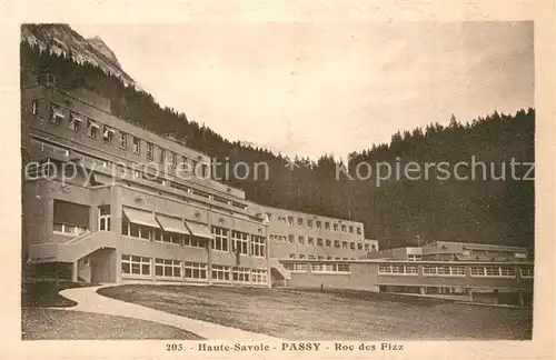 AK / Ansichtskarte Passy_Bonneville Roc des Fizz Passy_Bonneville