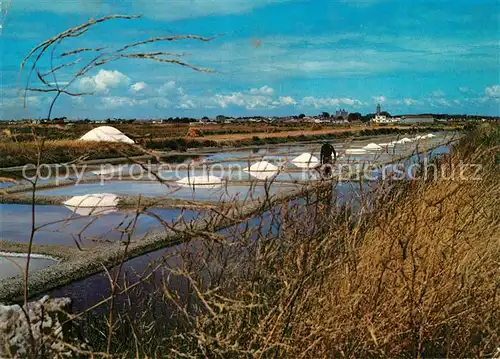 AK / Ansichtskarte Ile_de_Noirmoutier Les Marais Salants Ile_de_Noirmoutier