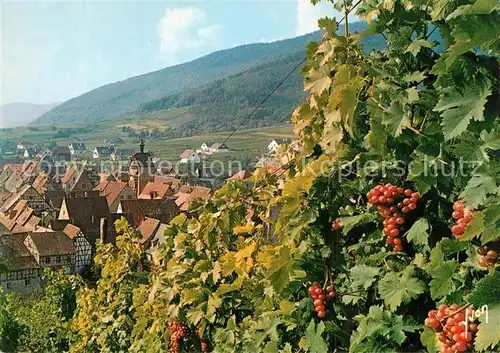 AK / Ansichtskarte Riquewihr_Haut_Rhin Vue generale Vignoble Alsacien Riquewihr_Haut_Rhin