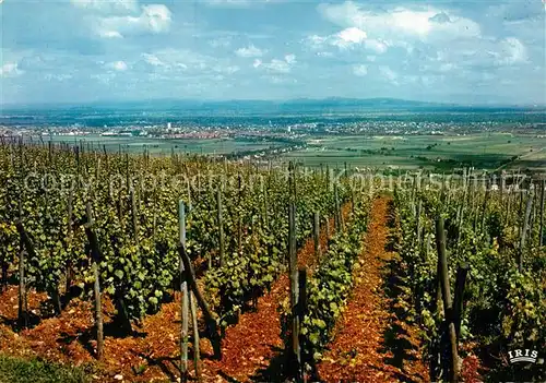 AK / Ansichtskarte Colmar_Haut_Rhin_Elsass Paysage entre Vosges et Foret Noire Vignobles Colmar_Haut_Rhin_Elsass