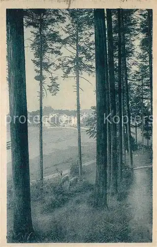 AK / Ansichtskarte Les_Trois_Epis_Vosges  Les_Trois_Epis_Vosges