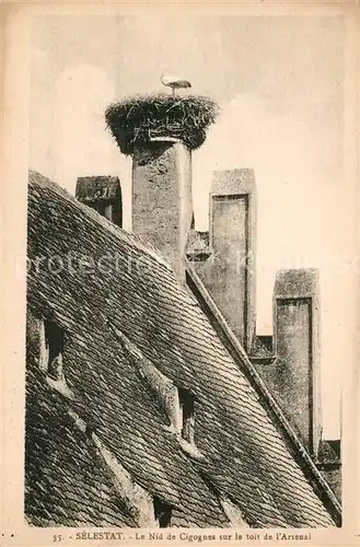 AK / Ansichtskarte Selestat_Bas_Rhin_Elsass Le Nid de Cigognes  Selestat_Bas_Rhin_Elsass