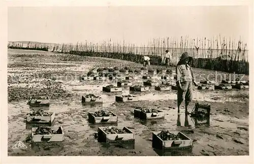 AK / Ansichtskarte Arcachon_Gironde Parc a huitres Les Collecteurs La Recolte Arcachon Gironde