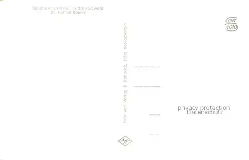 AK / Ansichtskarte Hirsau Sanatorium Hirsau Hirsau