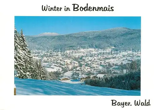 AK / Ansichtskarte Bodenmais Winterpanorama Bodenmais