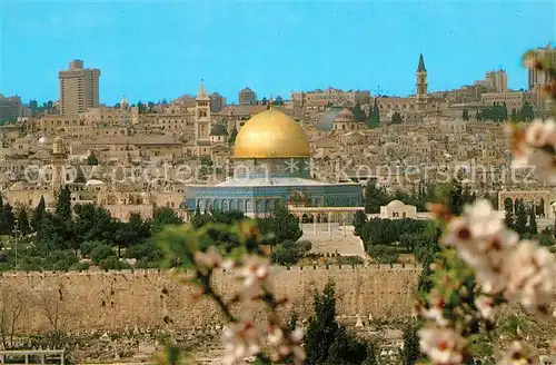 AK / Ansichtskarte Jerusalem_Yerushalayim Old City viewed from Mount of Olives Jerusalem_Yerushalayim