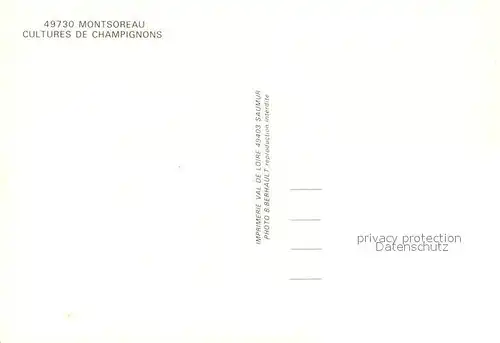 AK / Ansichtskarte Montsoreau Cultures de Champignons Montsoreau