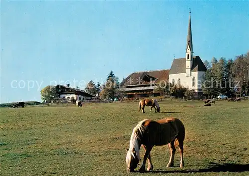 AK / Ansichtskarte Kematen_Tirol am Ritten Pferde mit Schlern Kematen Tirol