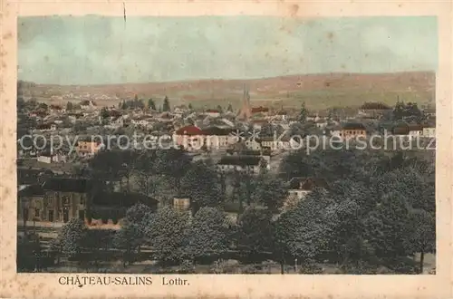 AK / Ansichtskarte Chateau Salins Panorama Chateau Salins