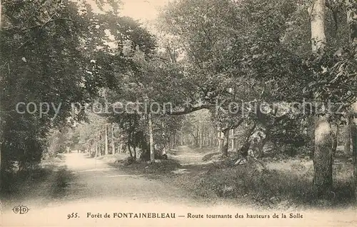AK / Ansichtskarte Fontainebleau_Seine_et_Marne Foret Route tournants des hauteurs de la Solle Fontainebleau_Seine