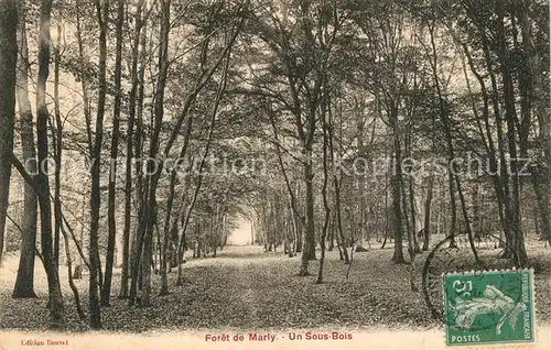 AK / Ansichtskarte Marly_Metz Campagne Foret de Marly Un Sous Bois Marly Metz Campagne