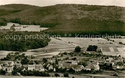 AK / Ansichtskarte Dodenhausen Panorama Kellerwald Dodenhausen