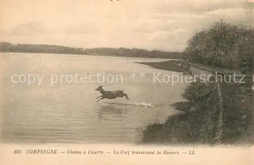 AK / Ansichtskarte Compiegne_Oise hasse a Courre Le Cerf traversant la Riviere Compiegne Oise