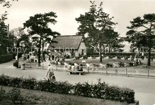 AK / Ansichtskarte Zinnowitz_Ostseebad Kindersportgarten Zinnowitz_Ostseebad