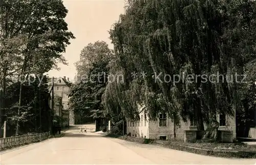 AK / Ansichtskarte Ebersdorf_Thueringen Strassenpartie Ebersdorf Thueringen