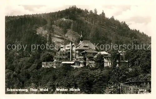 AK / Ansichtskarte Schwarzburg_Thueringer_Wald Weisser Hirsch Schwarzburg_Thueringer