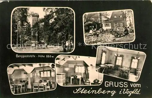 AK / Ansichtskarte Wildenau_Vogtland Berggaststtte Steinberg Aussichtsturm Wildenau_Vogtland