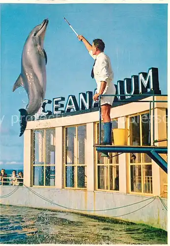 AK / Ansichtskarte Delphine Oceanarium Port Elizabeth South Africa 