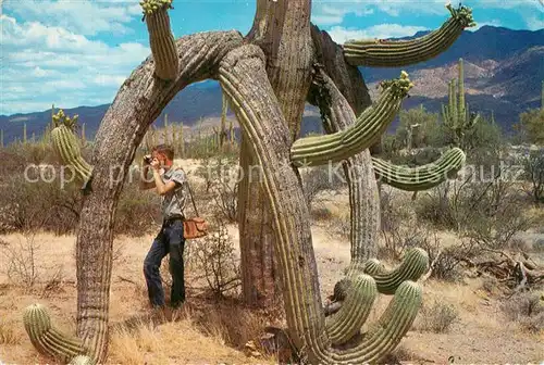 AK / Ansichtskarte Kakteen Saguard Cactus Fotograf  